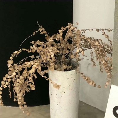 Furry插画光影灵感福瑞交流群